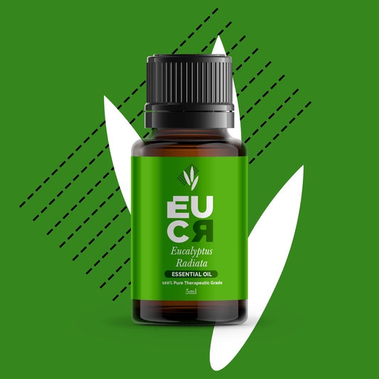 10ML EUCR Eucalyptus Radiata essential oil